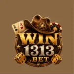 WIN1313 Game