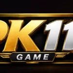 PK11 NEW APP 2026
